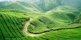 /album/photogallery/t%e1%ba%a3i-xu%e1%bb%91ng-jpg/